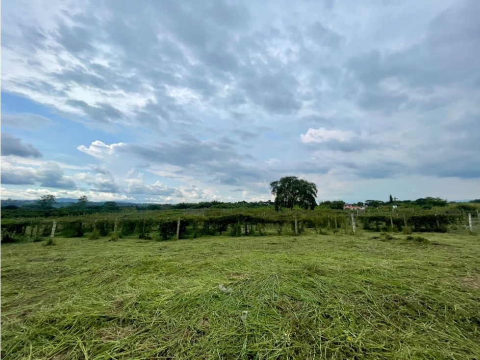 Lote via pueblo tapao — foto 3