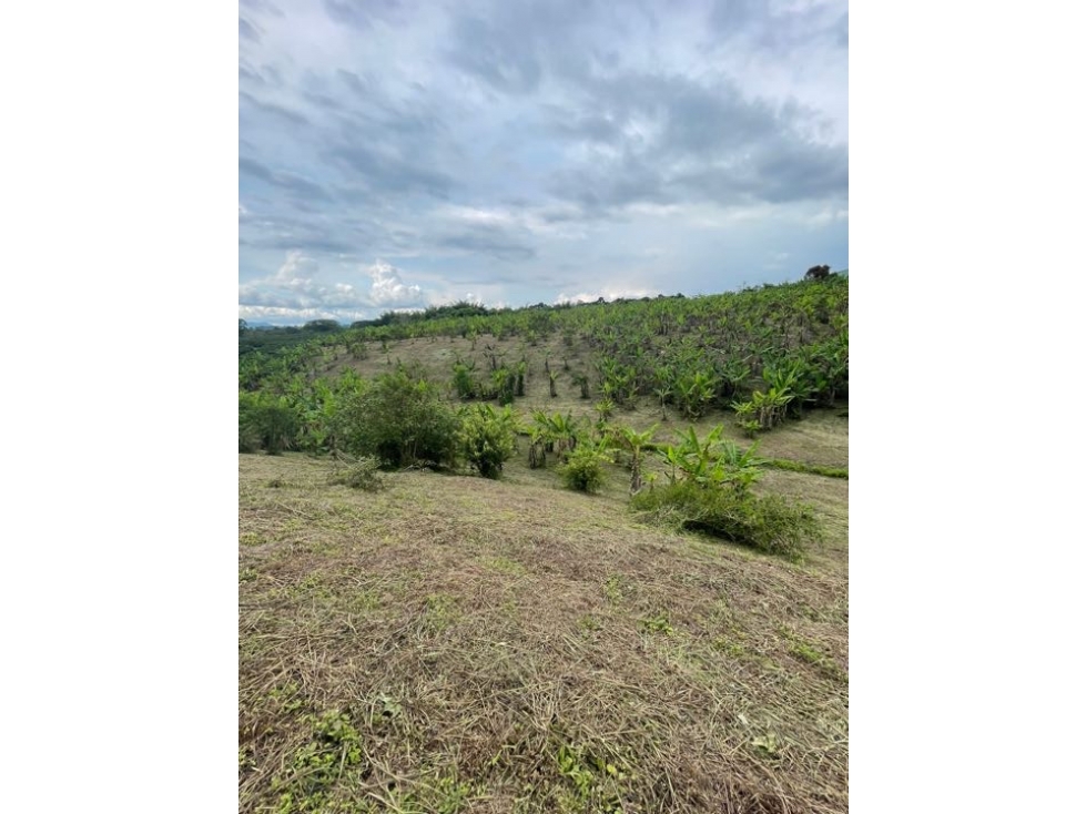 Lote via pueblo tapao — foto 4