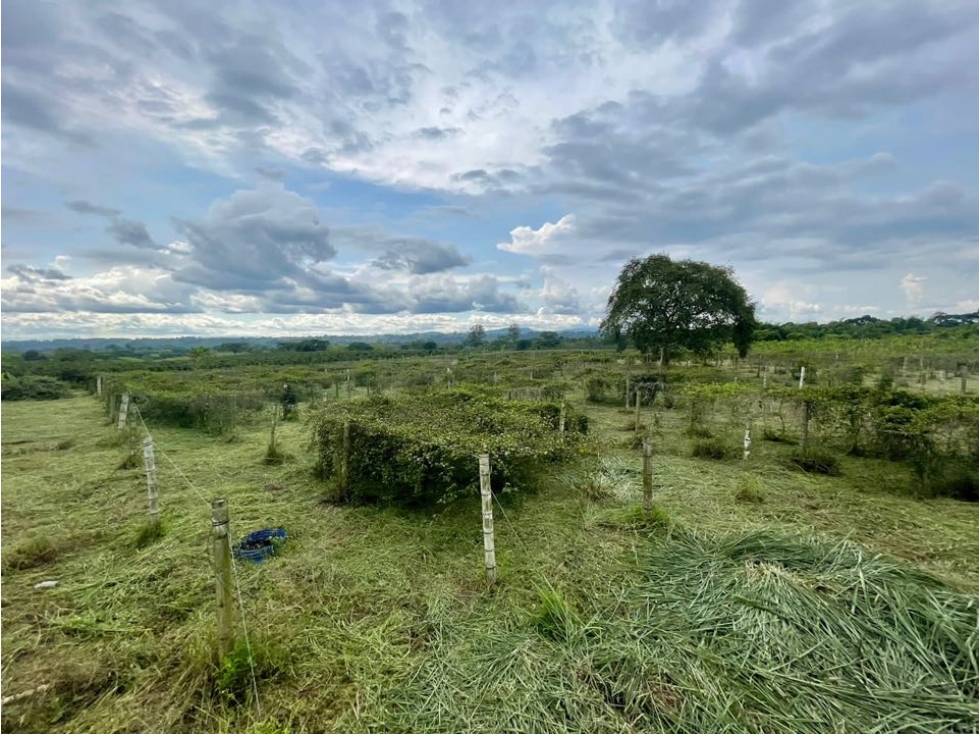 Lote via pueblo tapao — foto 5
