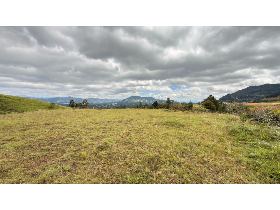 Lote Via San Antonio - La Ceja