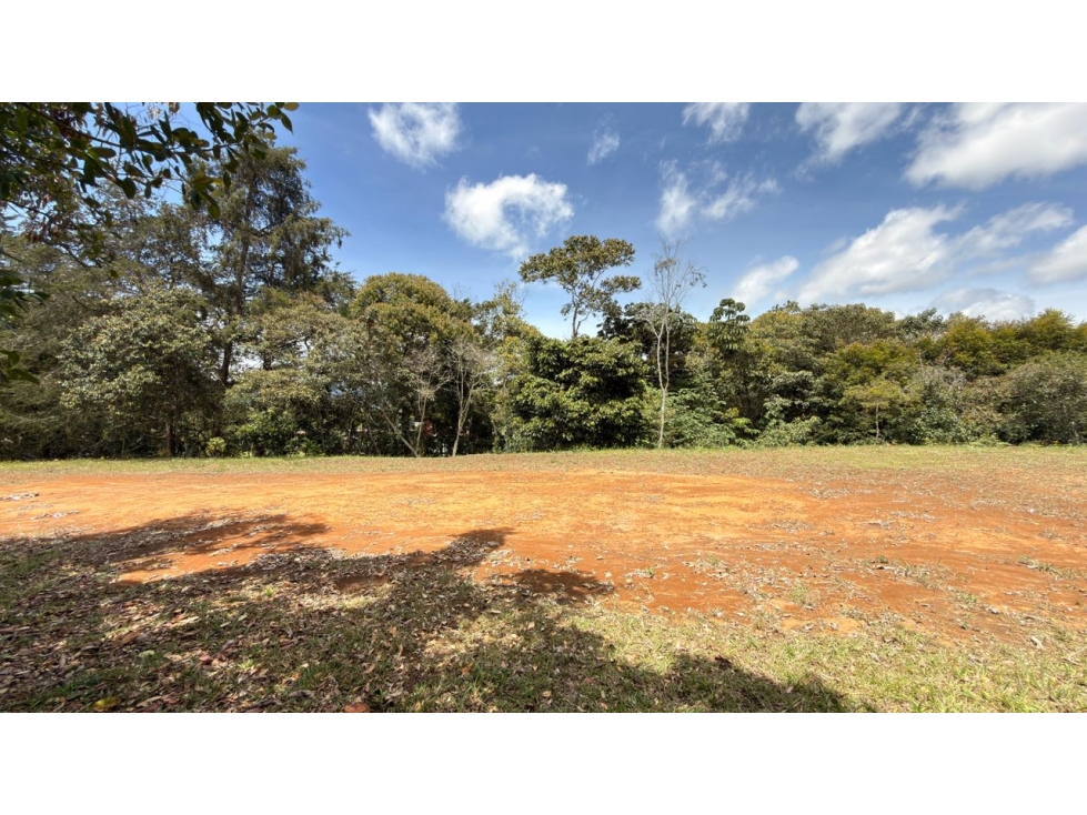 Lote via San Antonio - La Ceja