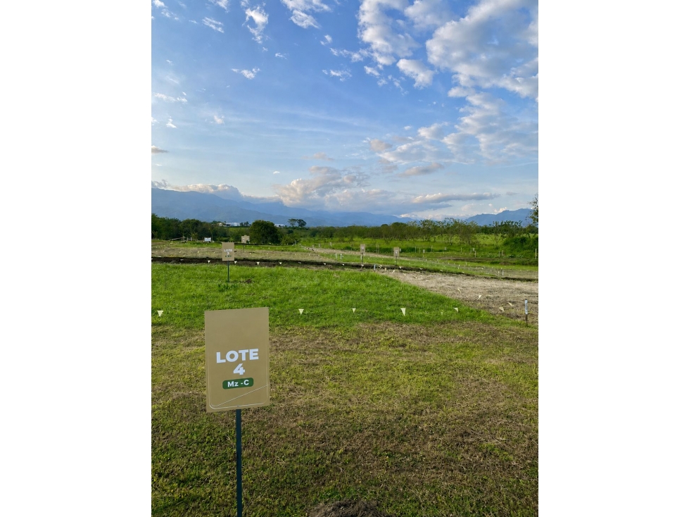 LOTE VITERBO — foto 4