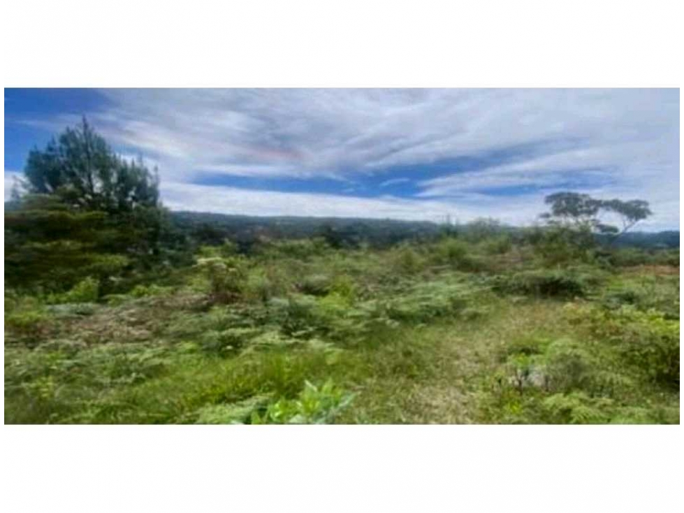 Lote vivienda y comercio 72 aparta suite 48 lotes y 3.000 m2 logística — foto 6