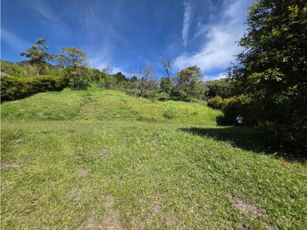 Lote/escobero/parte baja — foto 3