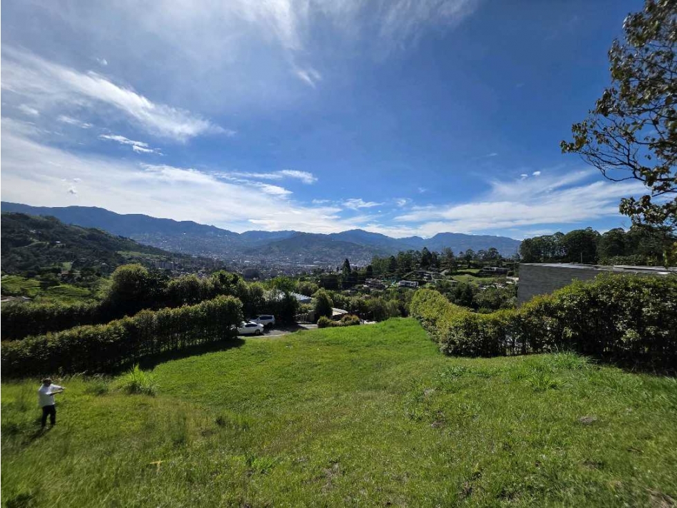 Lote/escobero/parte baja