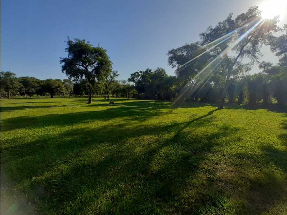 Barrio Residencial con Reserva "El Campito", el corazón de Benítez - 5
