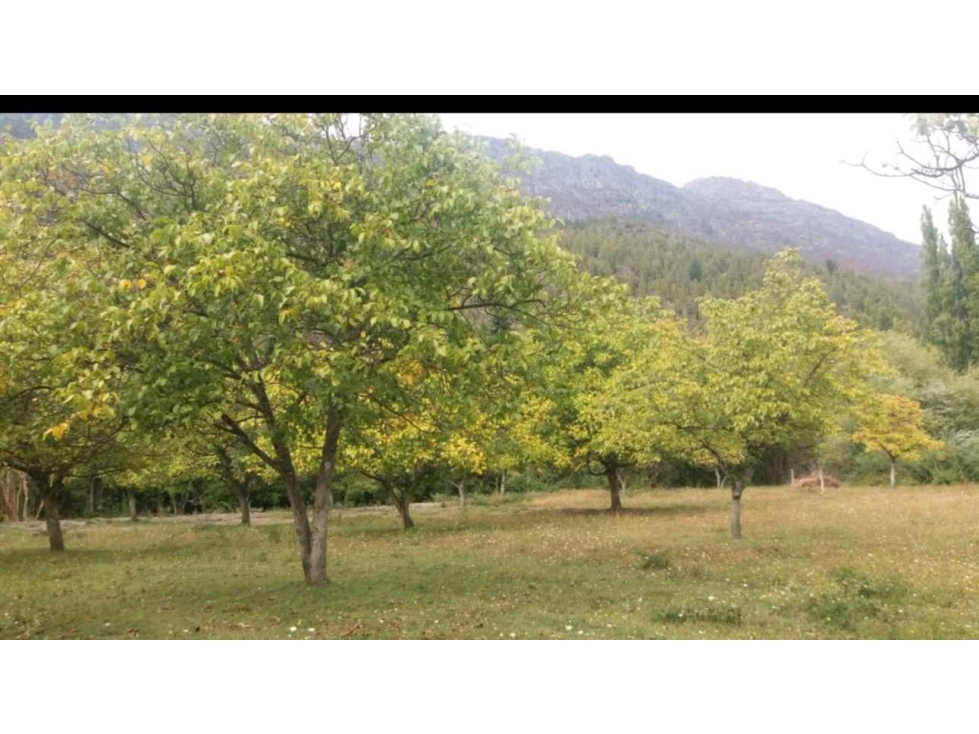 LOTEO KALFUCO, VILLA DEL LAGO, LAGO PUELO, PCIA.CHUBUT, ARGENTINA - 4