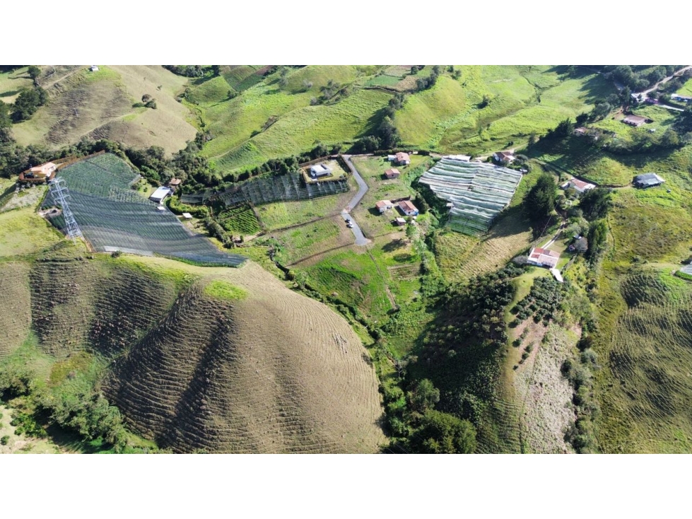 LOTES CAMPESTRES EN LA CEJAdesde $360 MILLONES VEREDA FÁTIMA 9 km — foto 2