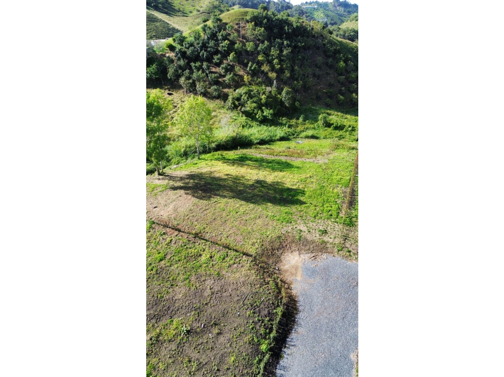LOTES CAMPESTRES EN LA CEJAdesde $360 MILLONES VEREDA FÁTIMA 9 km — foto 3