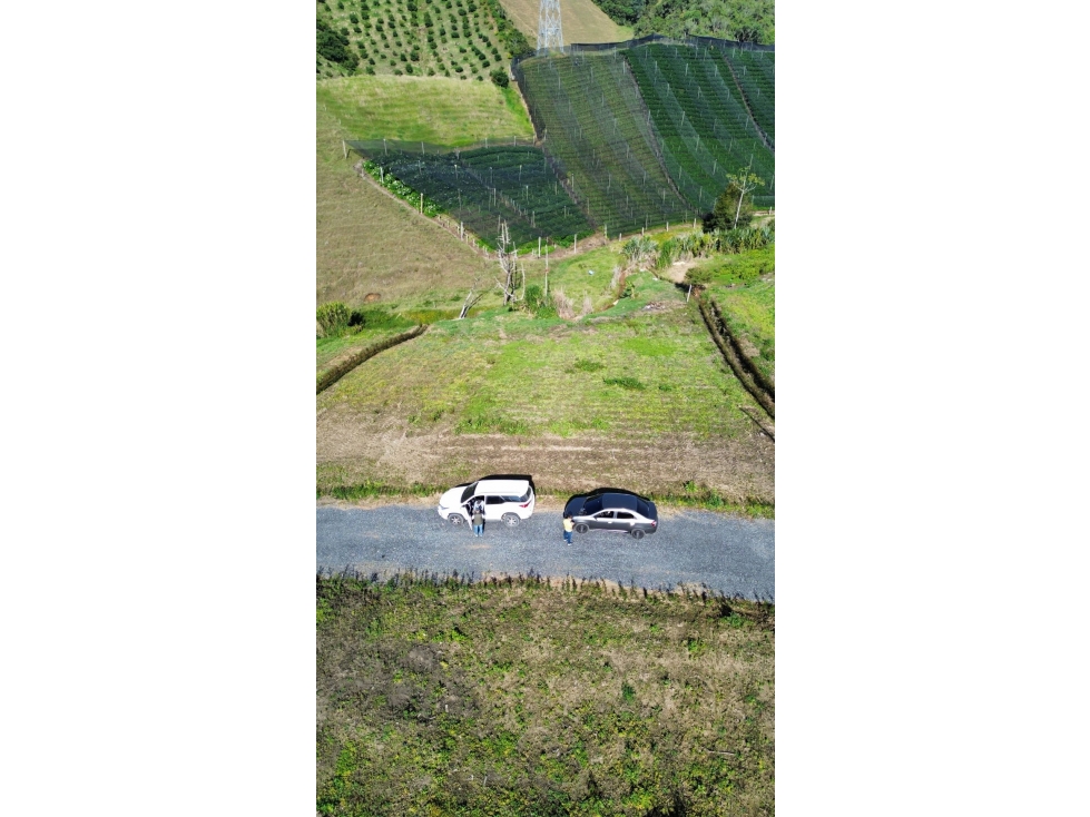 LOTES CAMPESTRES EN LA CEJAdesde $360 MILLONES VEREDA FÁTIMA 9 km — foto 5