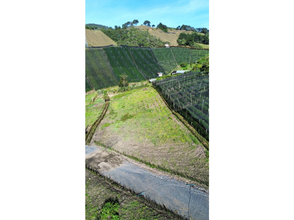 LOTES CAMPESTRES EN LA CEJAdesde $360 MILLONES VEREDA FÁTIMA 9 km — foto 6