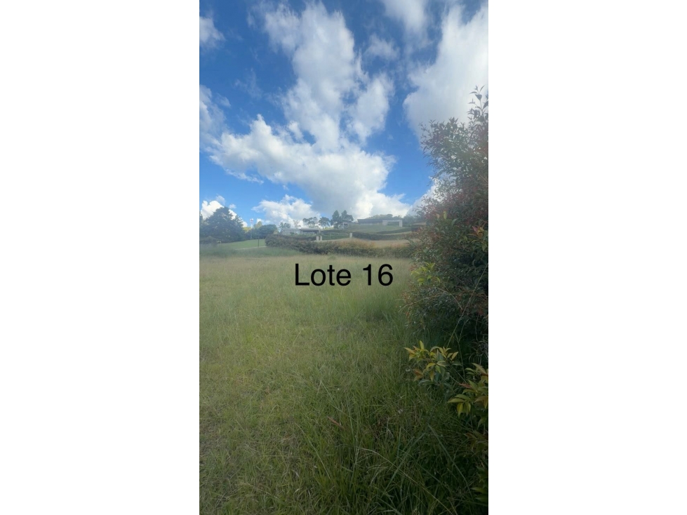 LOTES CAMPESTRES EN LA CEJA ANTIOQUIA - SECTOR@EL TAMBO — foto 4