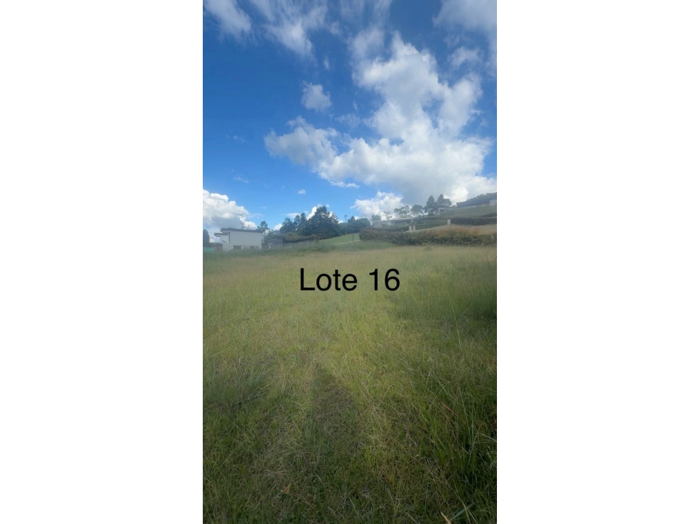 LOTES CAMPESTRES EN LA CEJA ANTIOQUIA - SECTOR@EL TAMBO — foto 5
