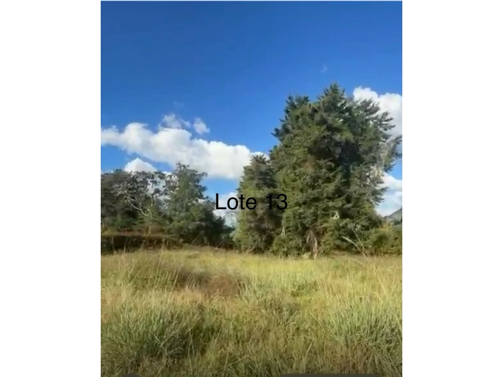 LOTES CAMPESTRES EN LA CEJA ANTIOQUIA - SECTOR@EL TAMBO