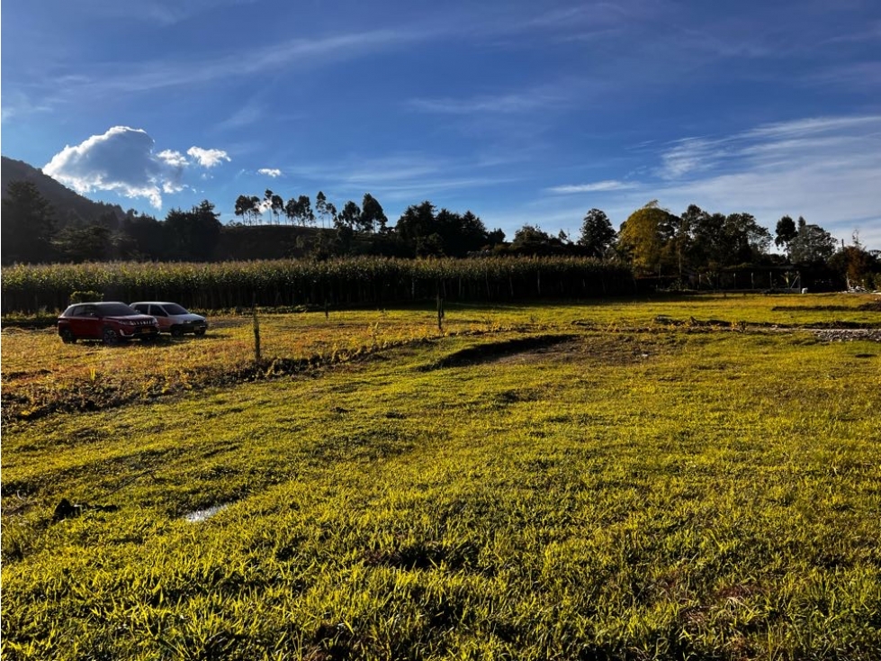 LOTES CAMPESTRES EN PARCELACIÓN EN VENTA - VEREDA BETANIA - CARMEN VIB — foto 3