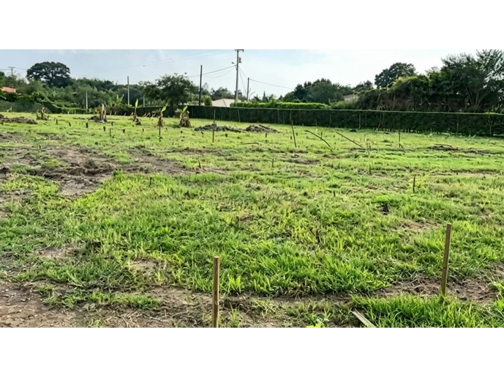 Lotes campestres en venta en parcelación | Santa Elena - El Cerrito — foto 3