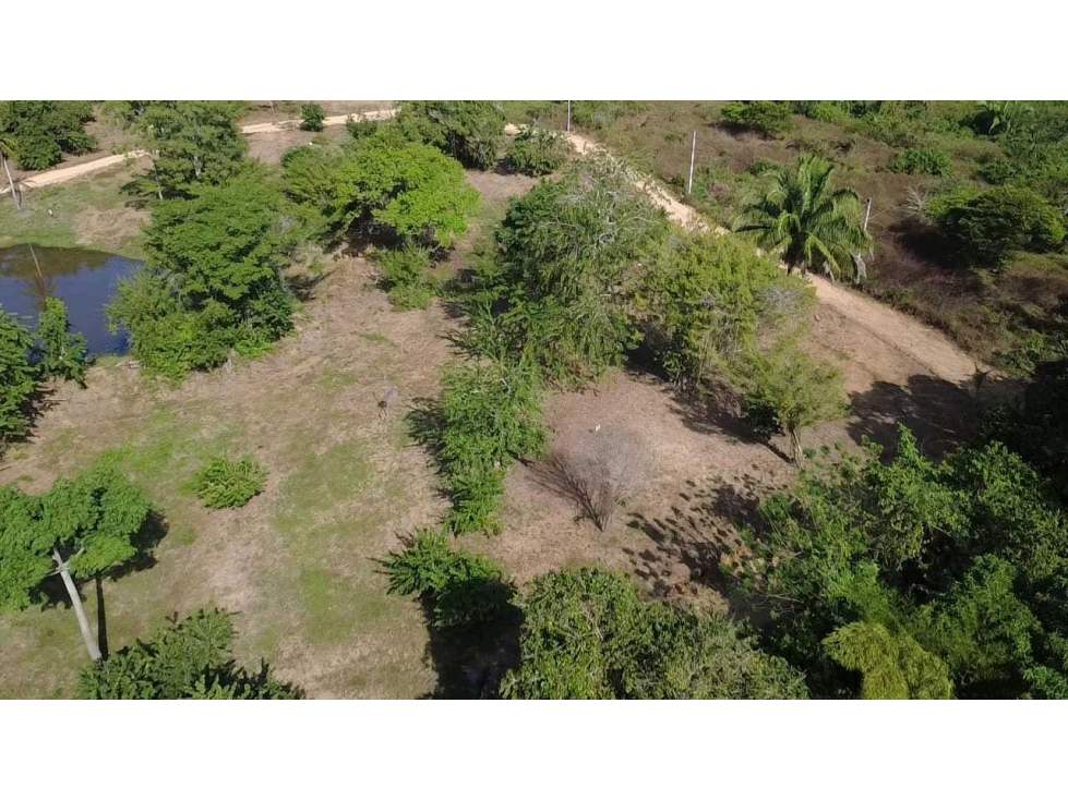 Lotes campestres EN VENTA en San Antero, Córdoba - 4