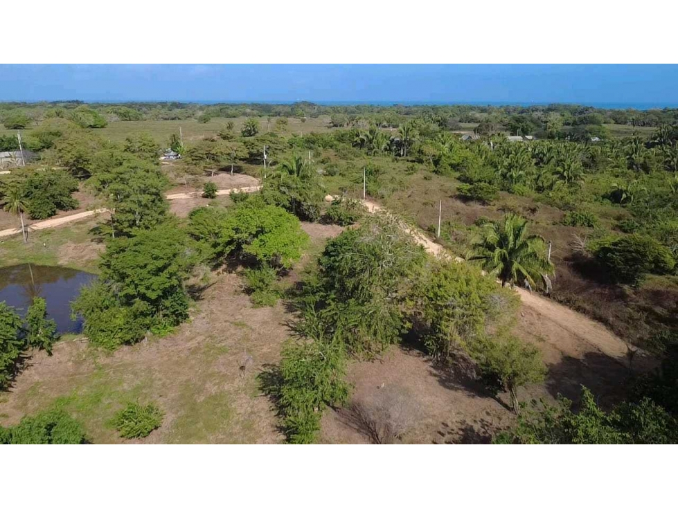Lotes campestres EN VENTA en San Antero, Córdoba - 5