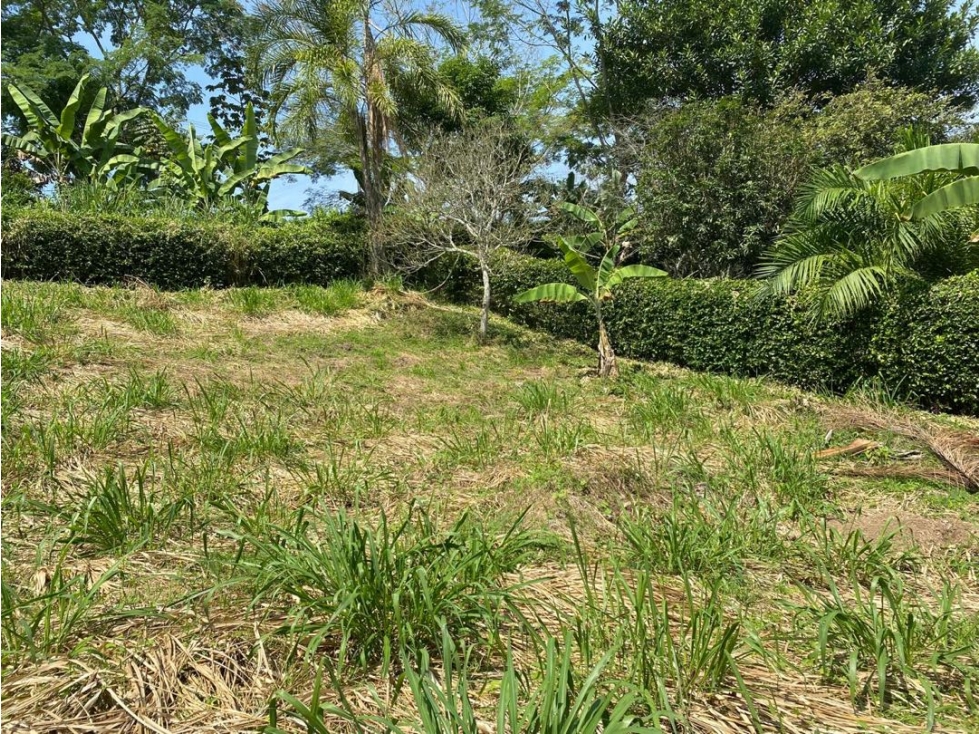 Lotes Campestres En Venta km 47 Vía Autopista Medellín - 2