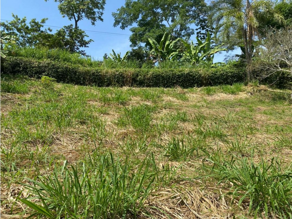 Lotes Campestres En Venta km 47 Vía Autopista Medellín - 1