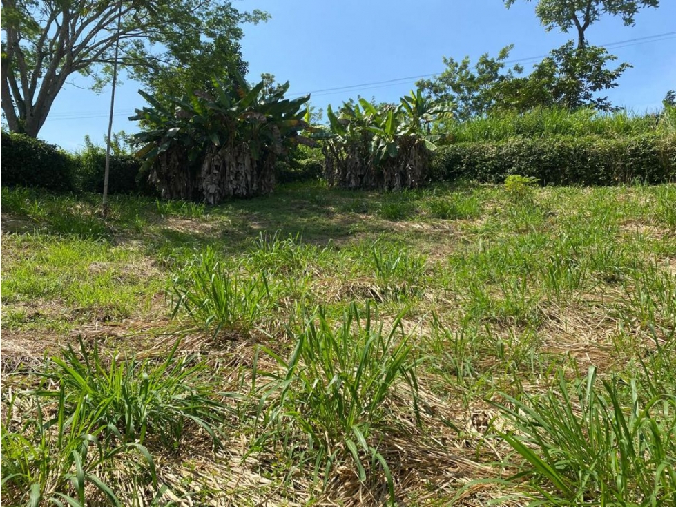 Lotes Campestres En Venta km 47 Vía Autopista Medellín - 3