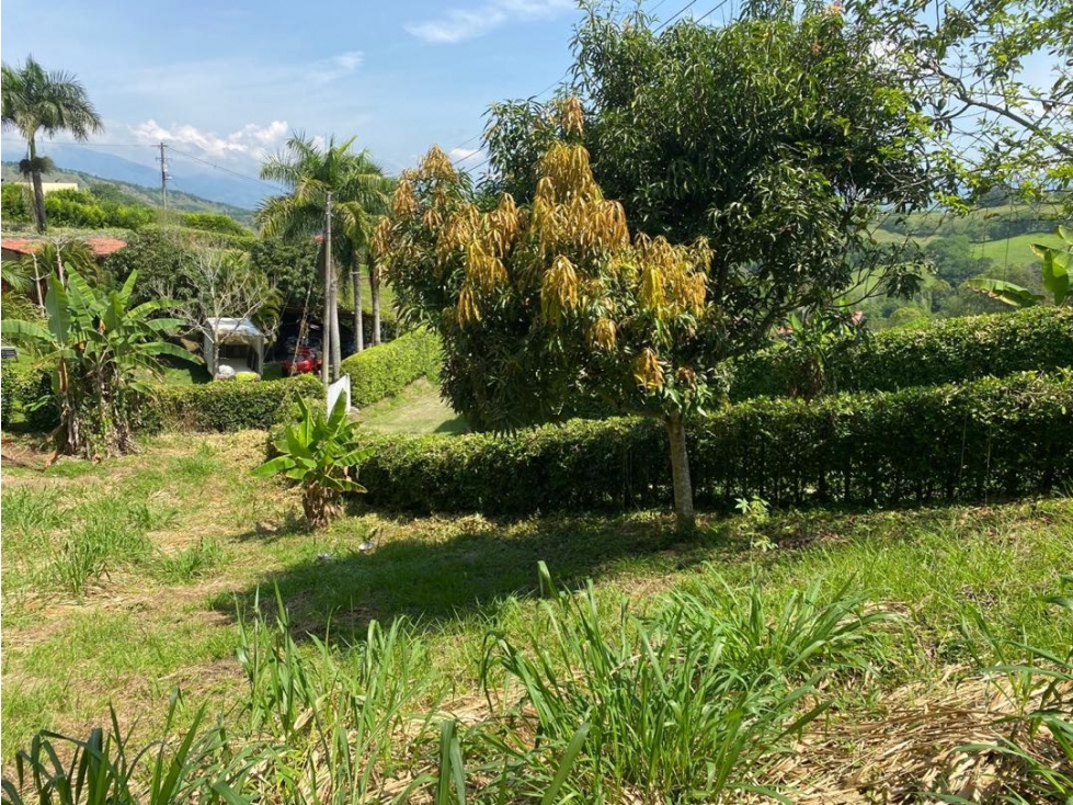 Lotes Campestres En Venta km 47 Vía Autopista Medellín - 4