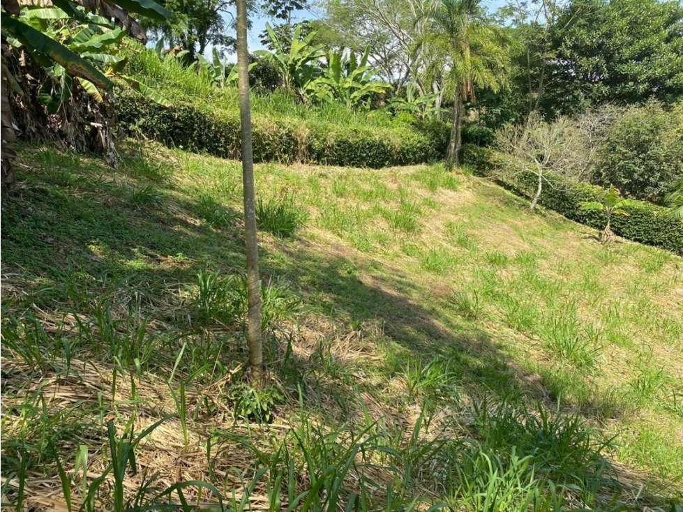 Lotes Campestres En Venta km 47 Vía Autopista Medellín - 6