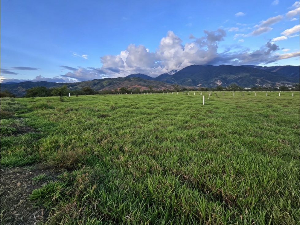 Lotes campestres en venta | Santa Elena - El Cerrito, Valle del Cauca — foto 3