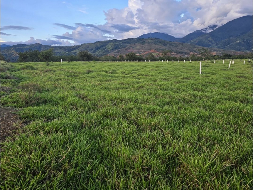 Lotes campestres en venta | Santa Elena - El Cerrito, Valle del Cauca — foto 5