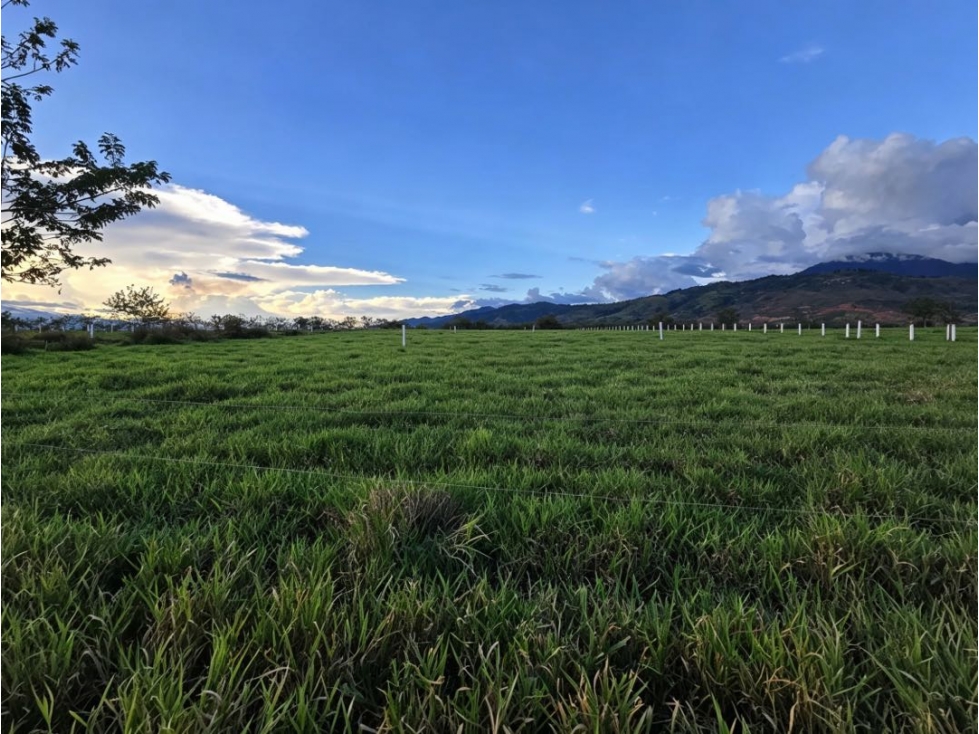 Lotes campestres en venta | Santa Elena - El Cerrito, Valle del Cauca — foto 4