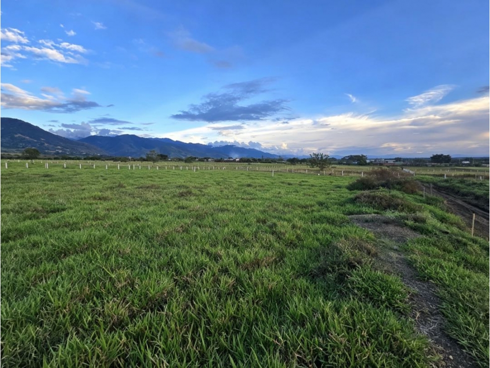 Lotes campestres en venta | Santa Elena - El Cerrito, Valle del Cauca — foto 6