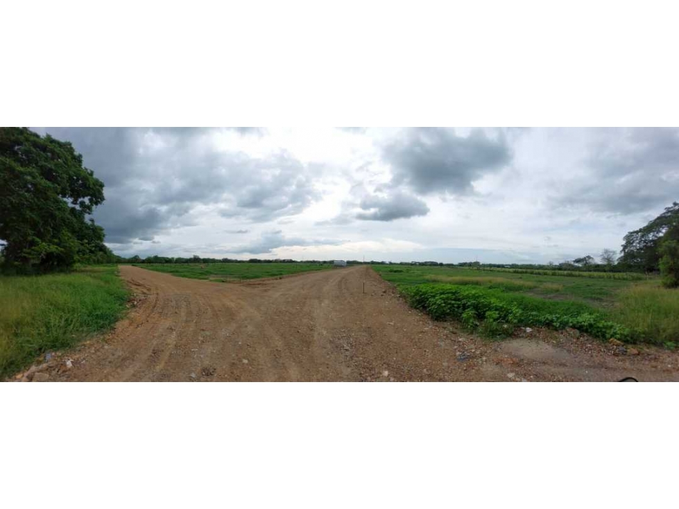 LOTES CAMPESTRES EN VENTA VIA AL SABANAL MONTERIA — foto 4