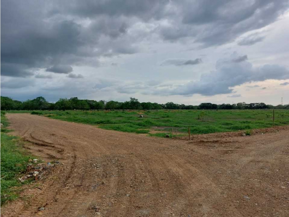 LOTES CAMPESTRES EN VENTA VIA AL SABANAL MONTERIA — foto 5