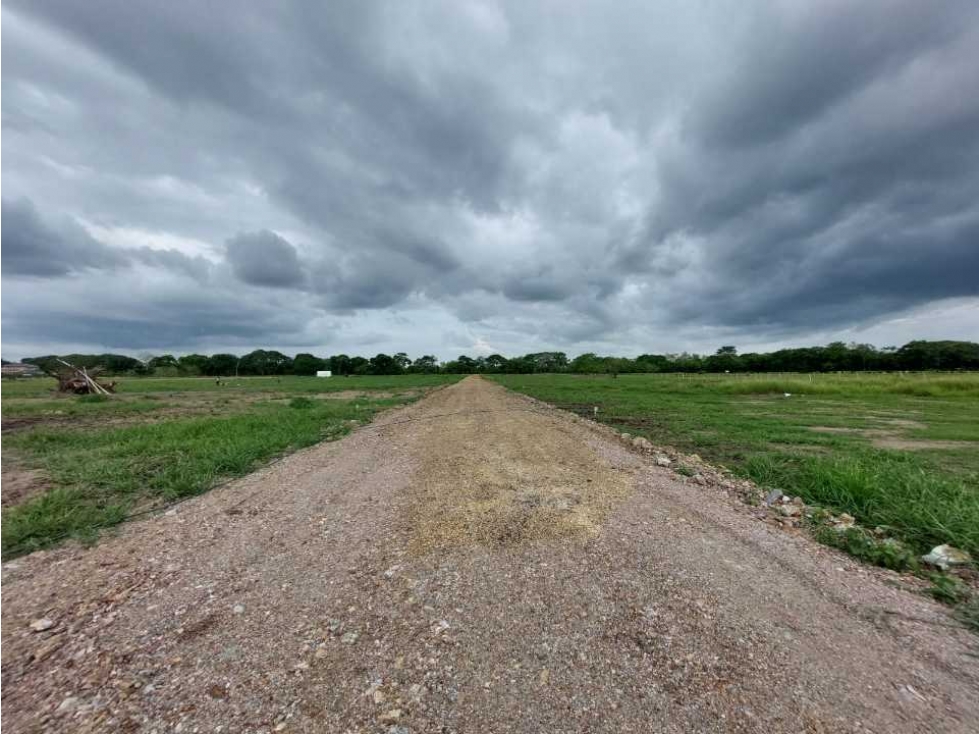 LOTES CAMPESTRES EN VENTA VIA AL SABANAL MONTERIA — foto 6