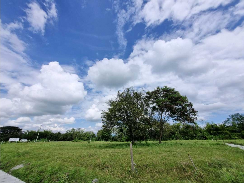Lotes con financiamiento hasta 48 meses en Ginebra Valle del Cauca - 5