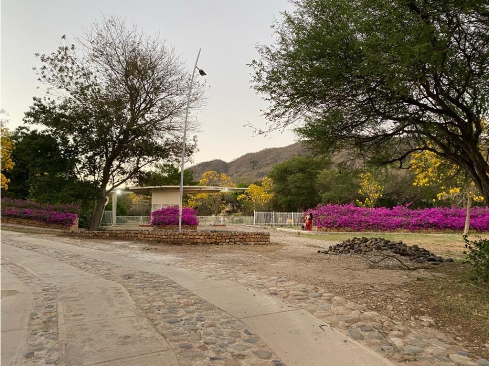 Lotes condominio Monte Ameraun Valledupar - 3