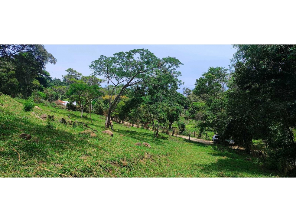 Lotes de 1150 M2 en 140 mill negociables,a 12 MIN de La Mesa Cund