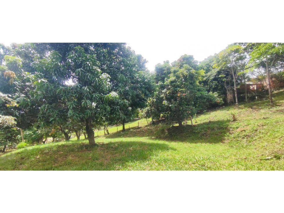 Lotes de 1150 M2 en 140 mill negociables,a 12 MIN de La Mesa Cund — foto 2