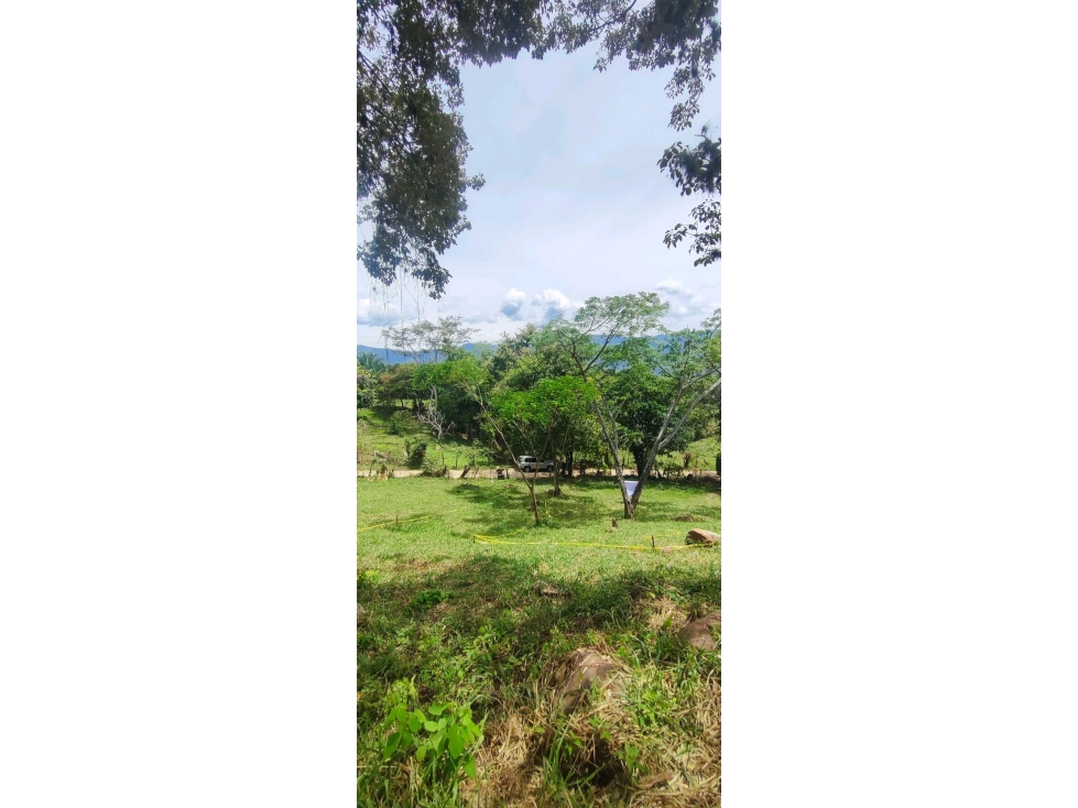Lotes de 1150 M2 en 140 mill negociables,a 12 MIN de La Mesa Cund — foto 3