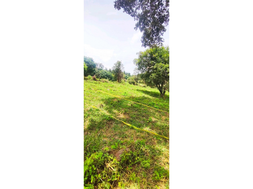 Lotes de 1150 M2 en 140 mill negociables,a 12 MIN de La Mesa Cund — foto 4