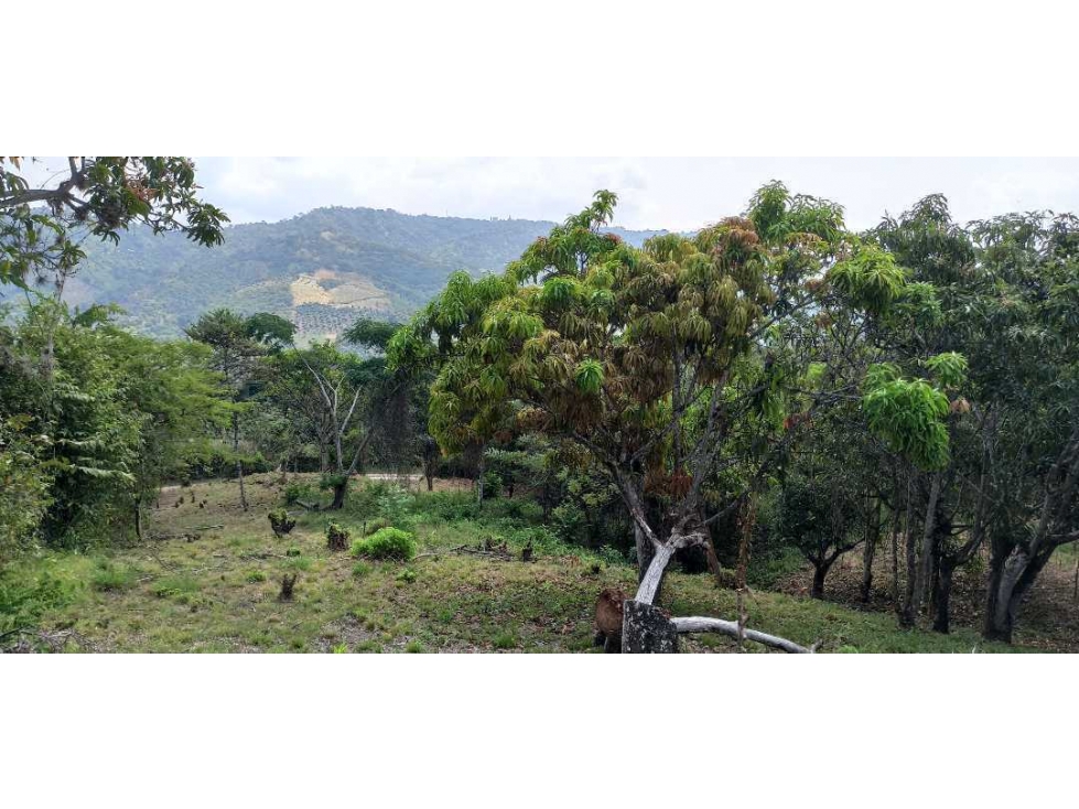 Lotes Independientes En La Mesa Cundi Alto Flores — foto 3