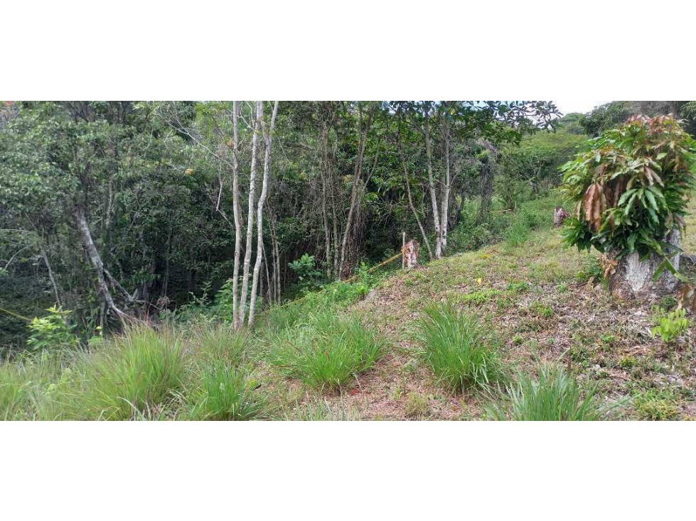 Lotes Independientes En La Mesa Cundi Alto Flores — foto 6