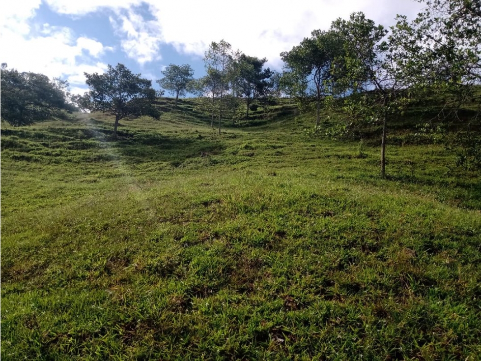 Lotes desde 2.000m2 en parcelación en venta Santa Elena El Cerrito - 3