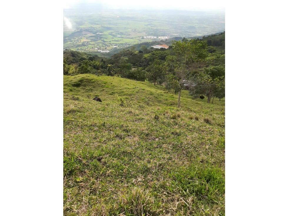 Lotes desde 2.000m2 en parcelación en venta Santa Elena El Cerrito - 6
