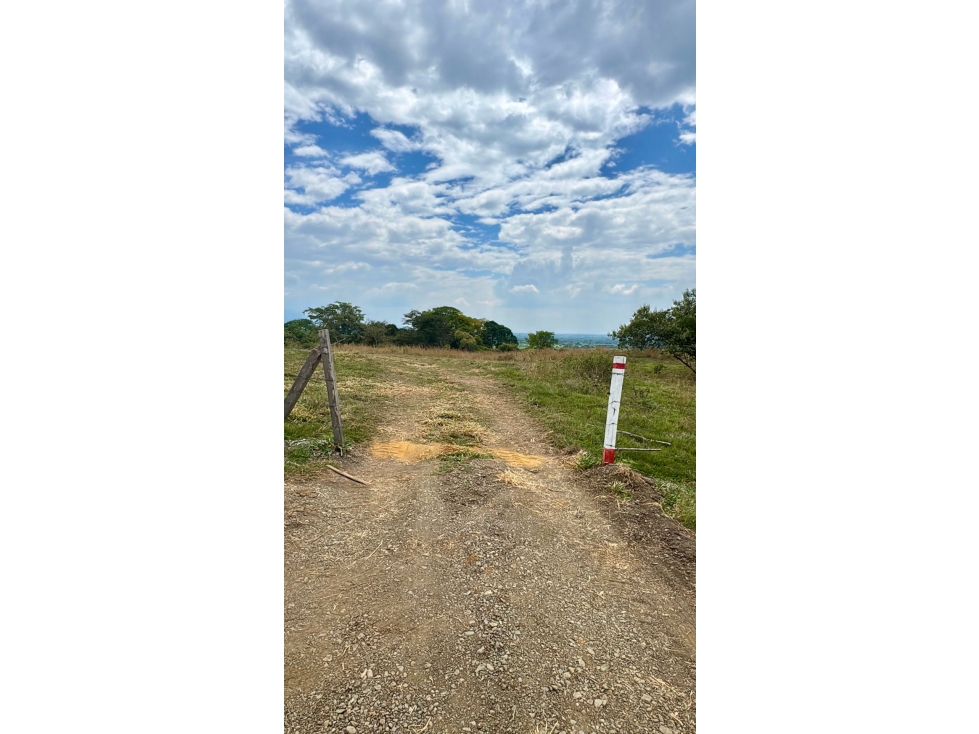 Lotes desde 1.277m2 en venta en parcelación - Santa Elena El Cerrito — foto 4
