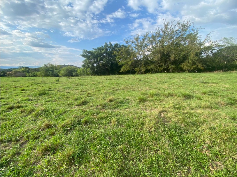 Lotes desde 1.500 m² en venta - Parcelación en La Buitrera, Palmira