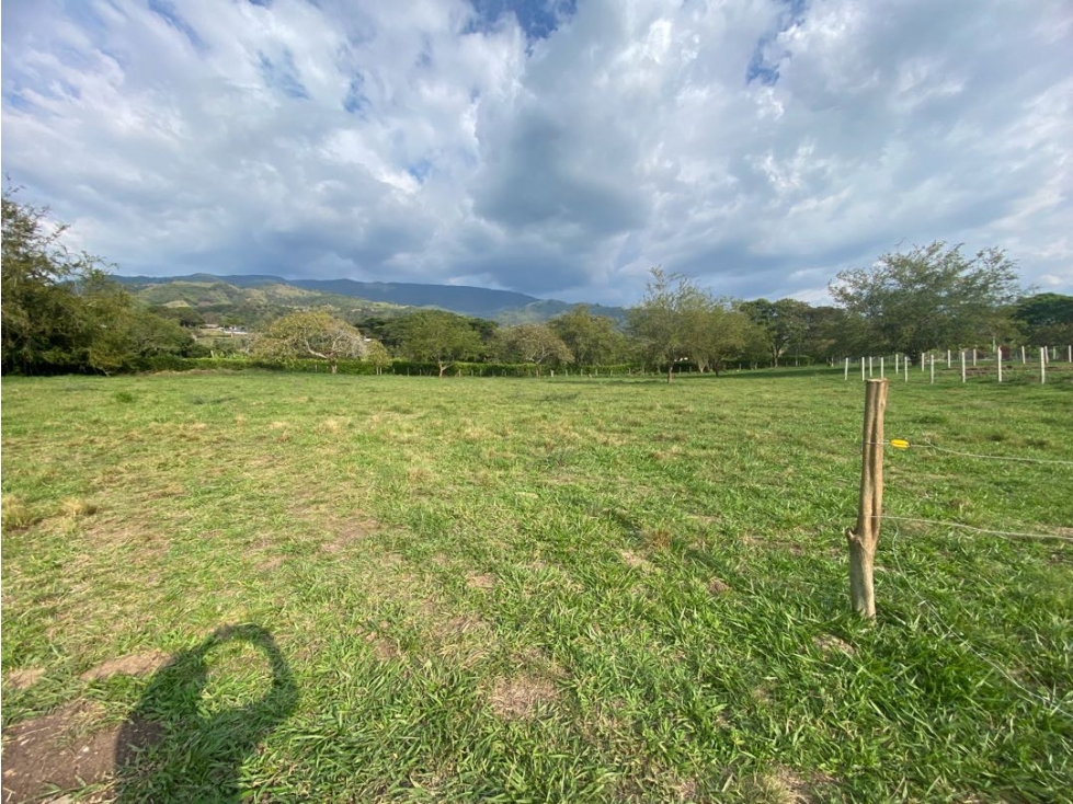 Lotes desde 1.500 m² en venta - Parcelación en La Buitrera, Palmira — foto 4