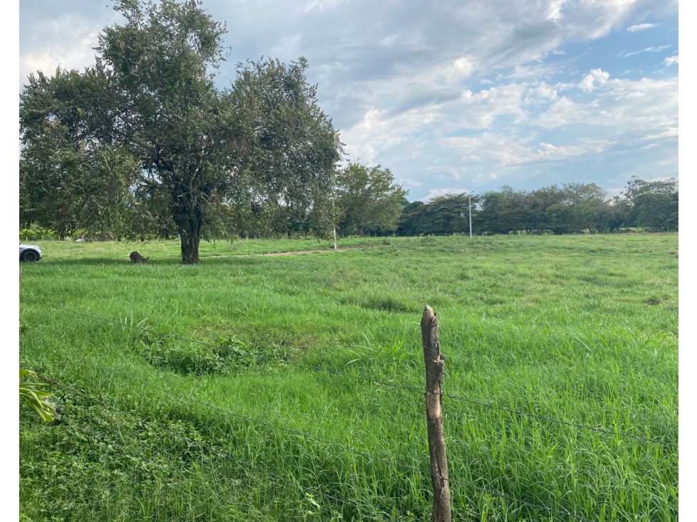 Lotes desde 1.500 m² en venta - Parcelación en La Buitrera, Palmira — foto 5