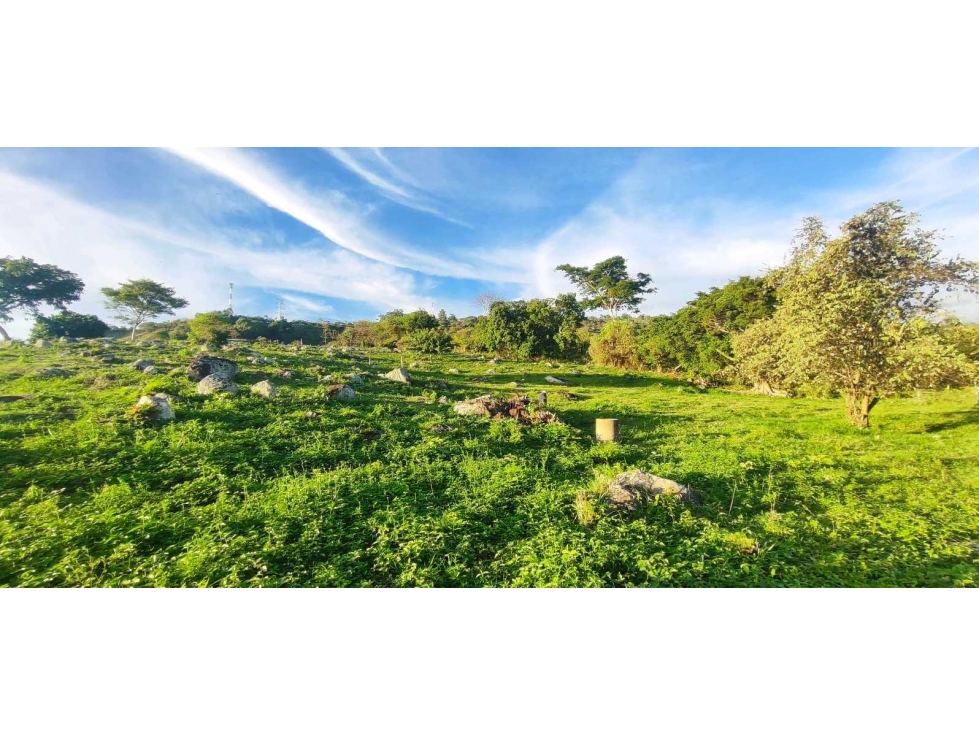 Lotes desde 1890 M2 en 284 mill a 5 min del pueblo — foto 2