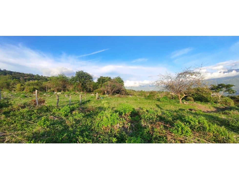 Lotes desde 1890 M2 en 284 mill a 5 min del pueblo — foto 4